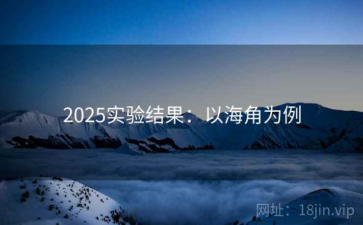 2025实验结果：以海角为例  第1张