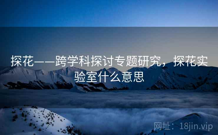 探花——跨学科探讨专题研究，探花实验室什么意思  第2张
