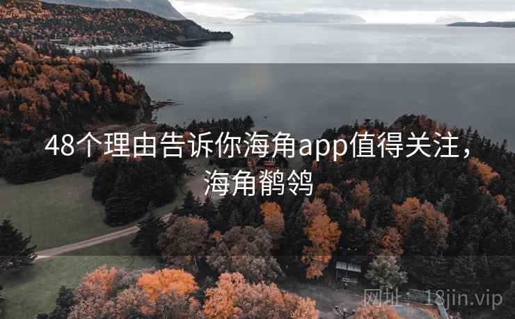 48个理由告诉你海角app值得关注，海角鹡鸰  第1张