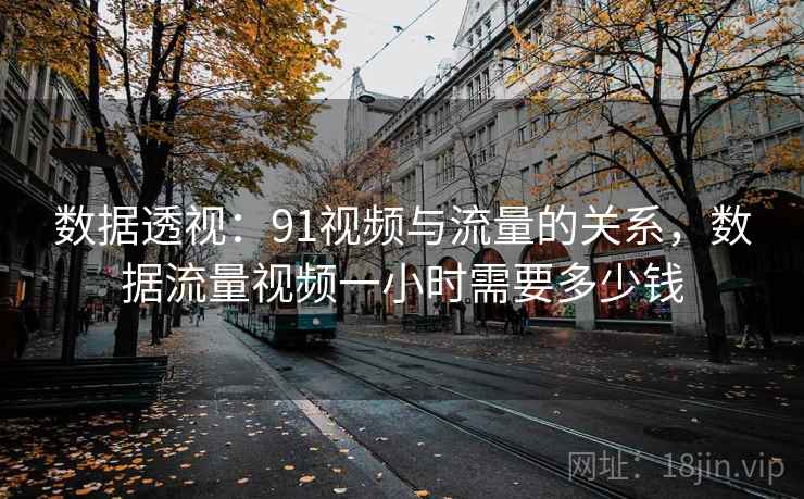 数据透视：91视频与流量的关系，数据流量视频一小时需要多少钱  第1张