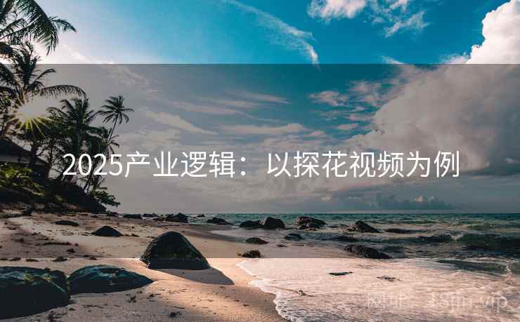 2025产业逻辑：以探花视频为例  第1张