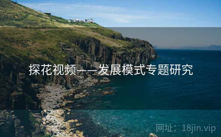 探花视频——发展模式专题研究  第1张