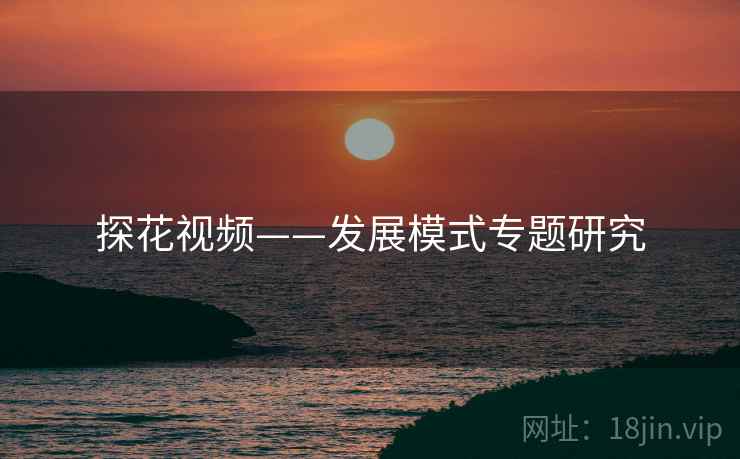 探花视频——发展模式专题研究  第2张