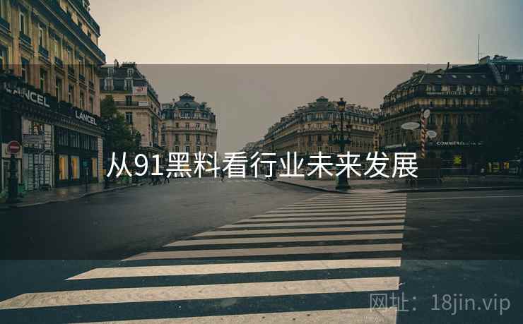 从91黑料看行业未来发展  第1张