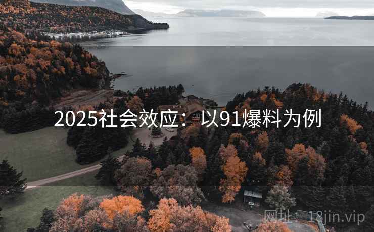 2025社会效应：以91爆料为例  第2张