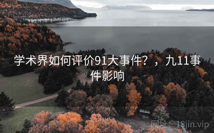 学术界如何评价91大事件？，九11事件影响  第2张