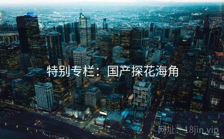 特别专栏：国产探花海角  第1张