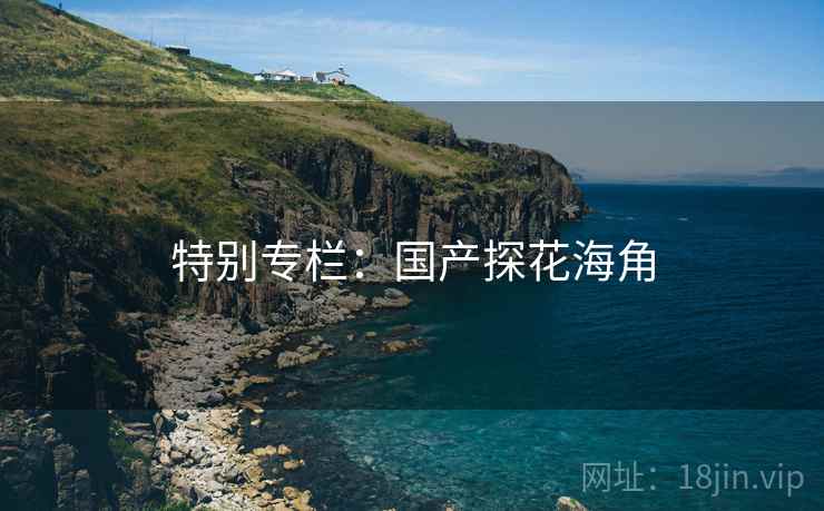 特别专栏：国产探花海角  第2张