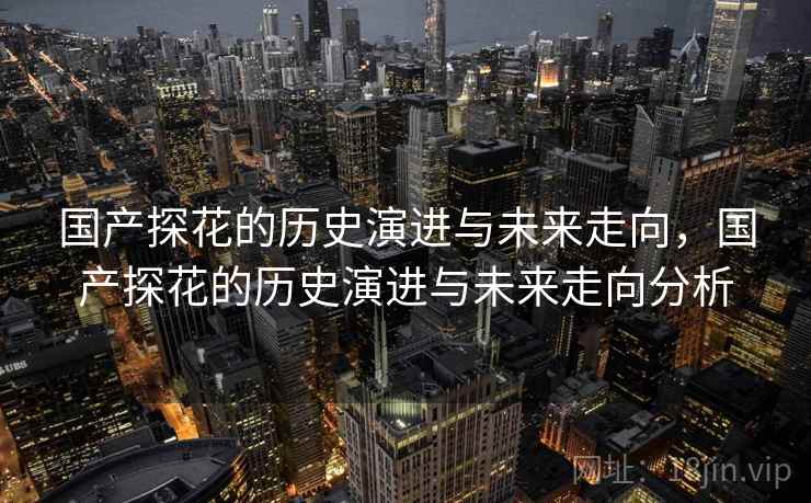 国产探花的历史演进与未来走向，国产探花的历史演进与未来走向分析  第2张