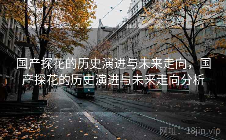 国产探花的历史演进与未来走向，国产探花的历史演进与未来走向分析  第1张