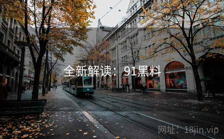 全新解读：91黑料  第1张