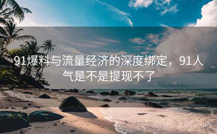 91爆料与流量经济的深度绑定，91人气是不是提现不了  第2张