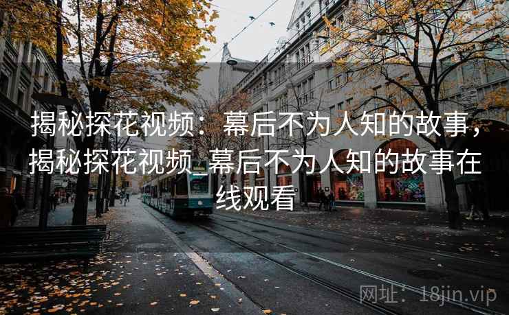 揭秘探花视频：幕后不为人知的故事，揭秘探花视频_幕后不为人知的故事在线观看  第2张