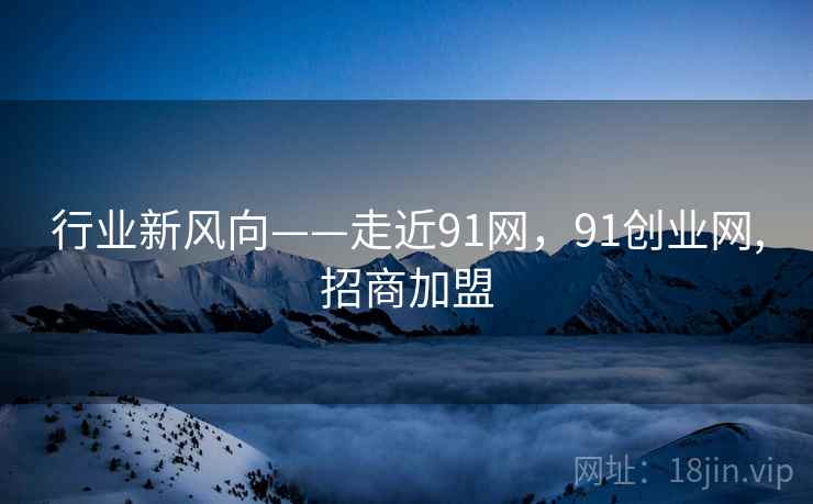 行业新风向——走近91网，91创业网,招商加盟  第1张