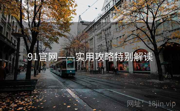 91官网——实用攻略特别解读  第2张