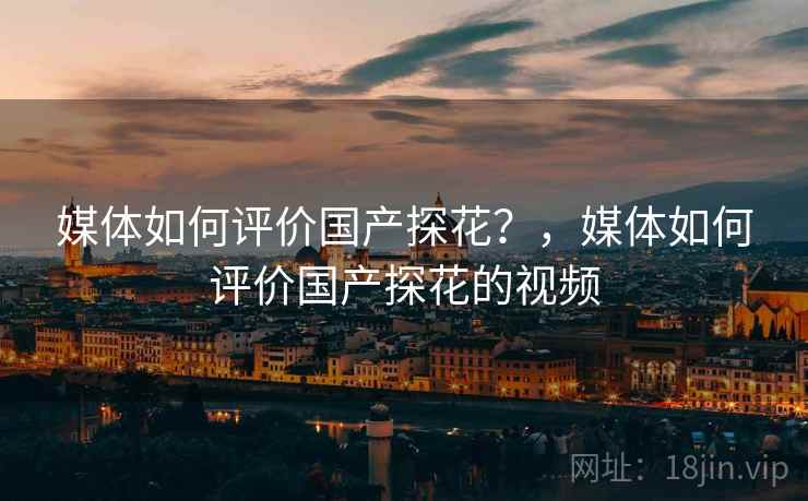 媒体如何评价国产探花？，媒体如何评价国产探花的视频  第1张