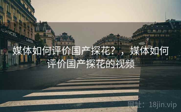 媒体如何评价国产探花？，媒体如何评价国产探花的视频  第2张