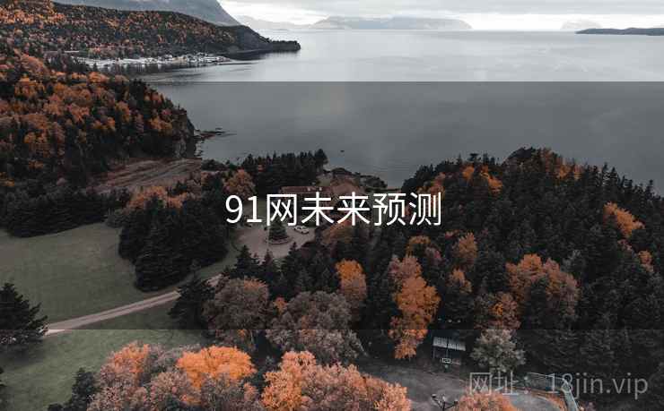 91网未来预测  第2张