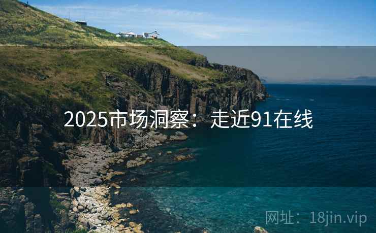 2025市场洞察：走近91在线  第1张