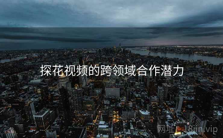 探花视频的跨领域合作潜力  第1张