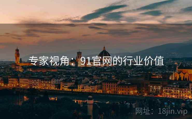 专家视角：91官网的行业价值  第1张