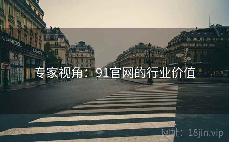 专家视角：91官网的行业价值  第2张