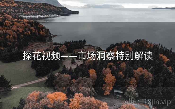 探花视频——市场洞察特别解读  第1张