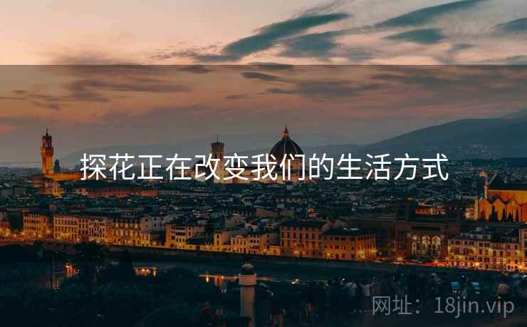 探花正在改变我们的生活方式  第2张