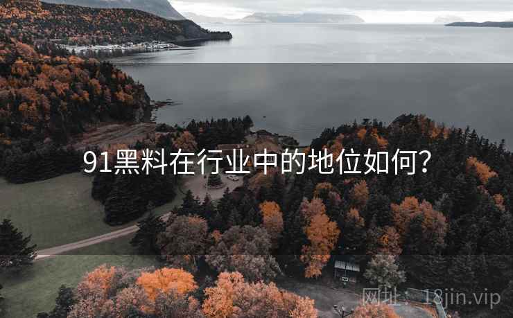91黑料在行业中的地位如何？  第1张