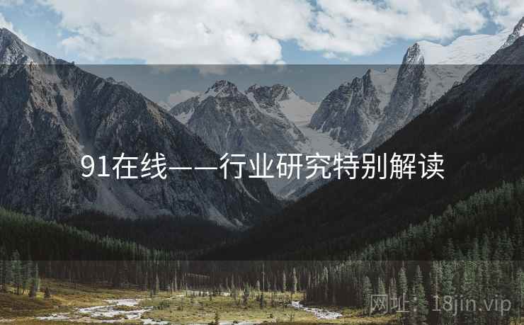 91在线——行业研究特别解读  第1张