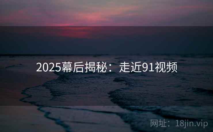 2025幕后揭秘：走近91视频  第2张