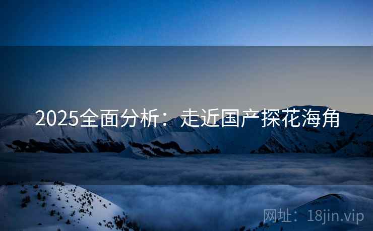 2025全面分析:走近国产探花海角 第1张 2025全面分析:走近国产探花海角 第1张