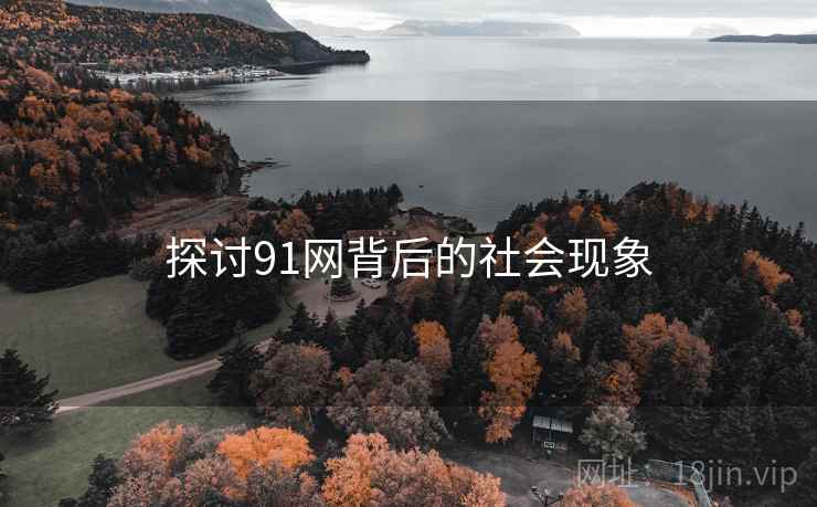 探讨91网背后的社会现象  第1张